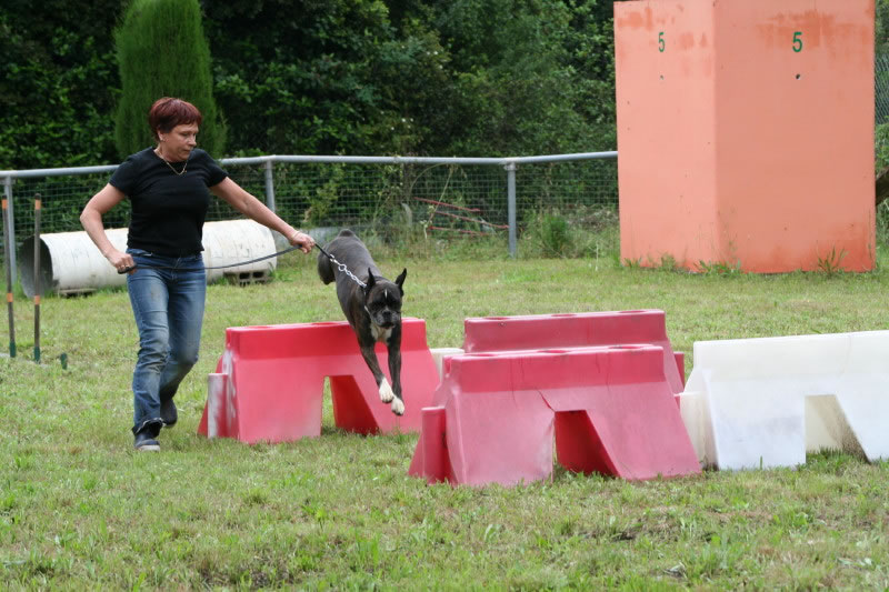 Tania du royaume de sky