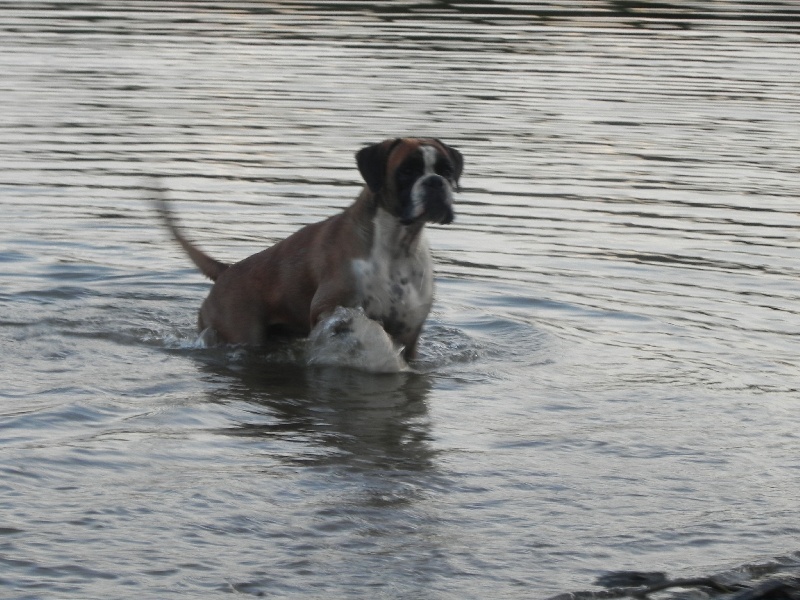 Flash Des Lacs Du Levezou