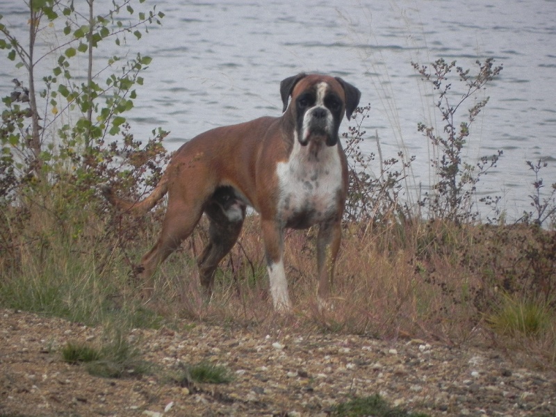 Flash Des Lacs Du Levezou