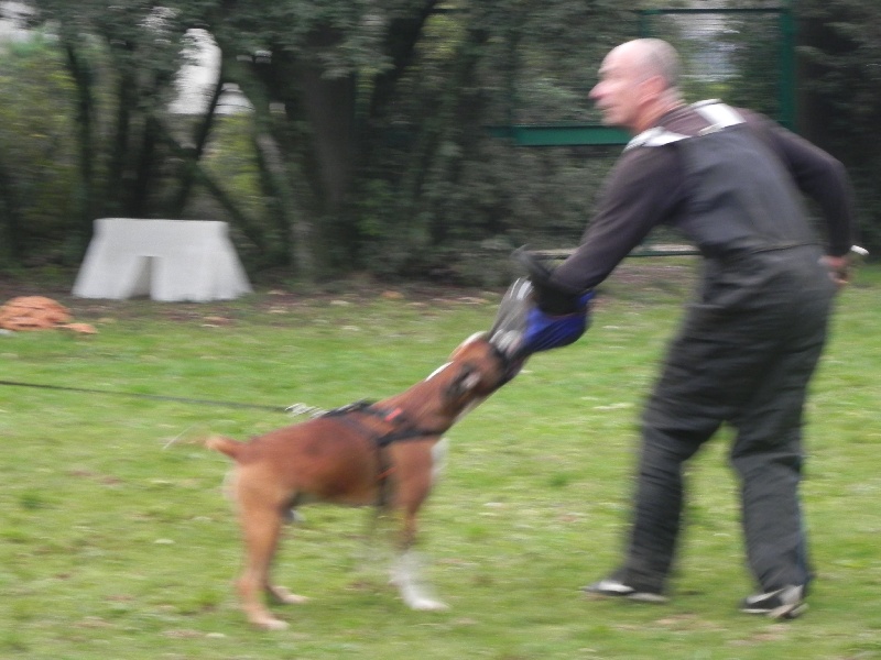 Flash Des Lacs Du Levezou