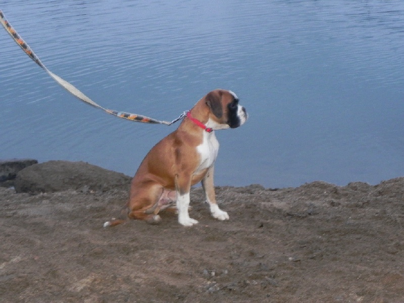 Flash Des Lacs Du Levezou