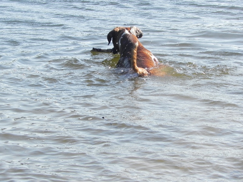 Flash Des Lacs Du Levezou