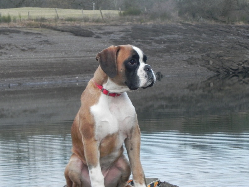 Flash Des Lacs Du Levezou