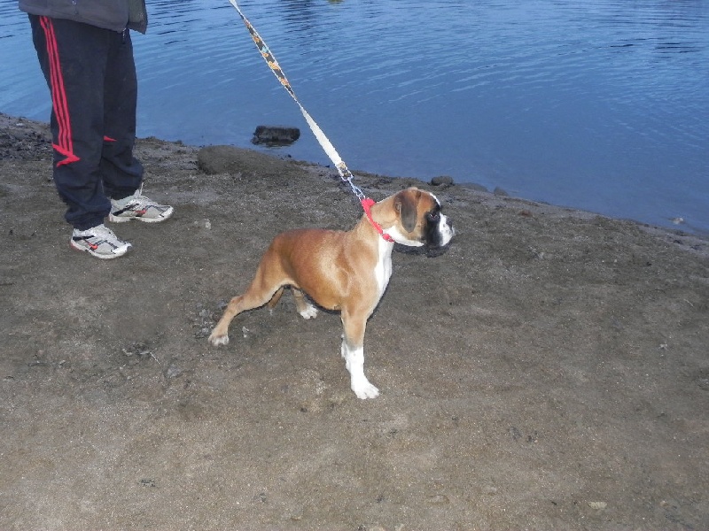 Flash Des Lacs Du Levezou