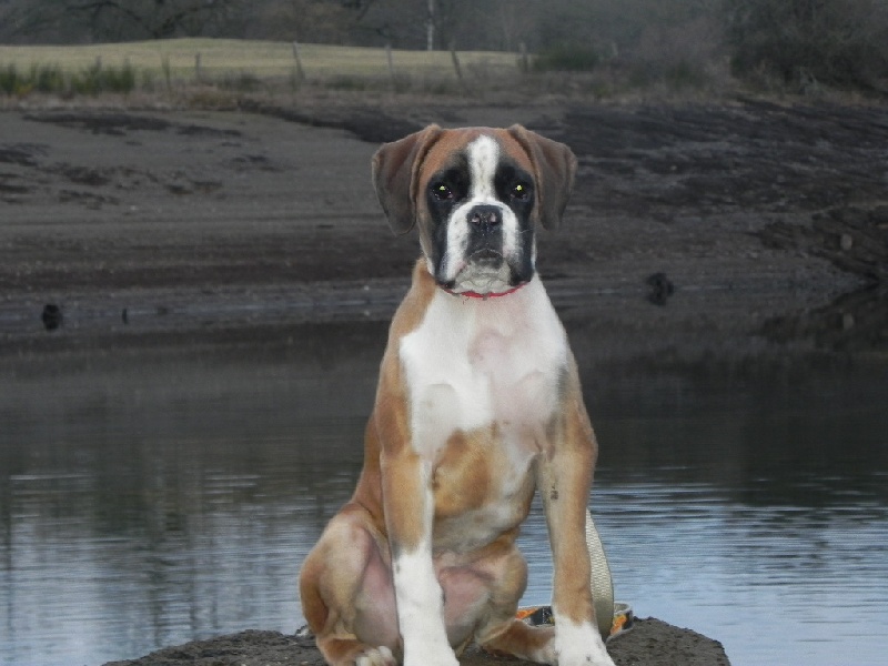 Flash Des Lacs Du Levezou