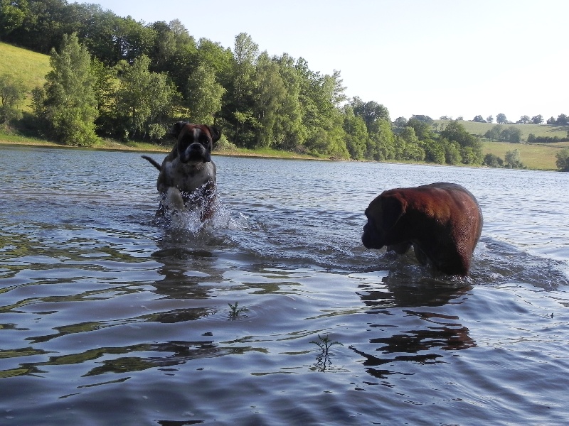 Flash Des Lacs Du Levezou