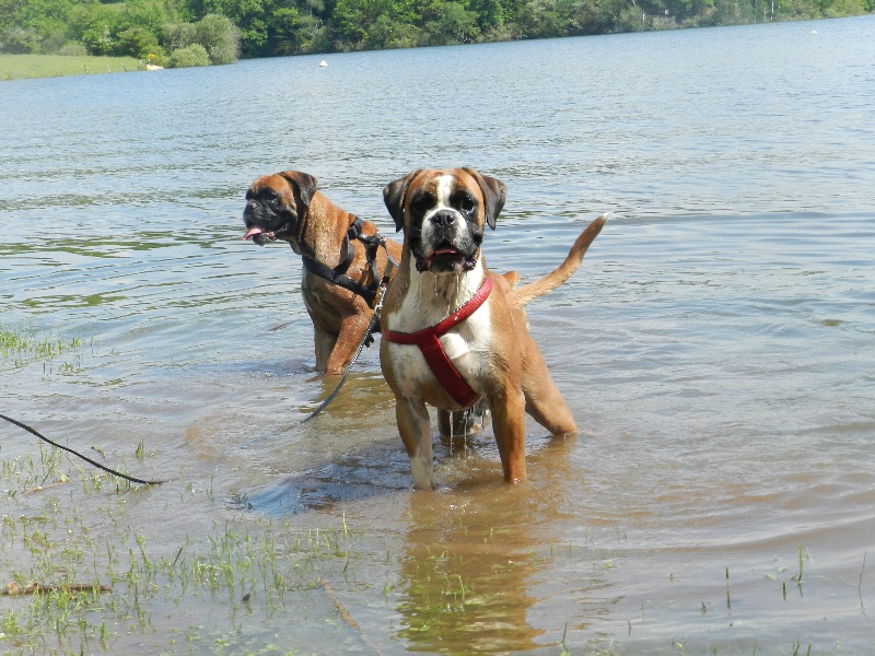 Flash Des Lacs Du Levezou