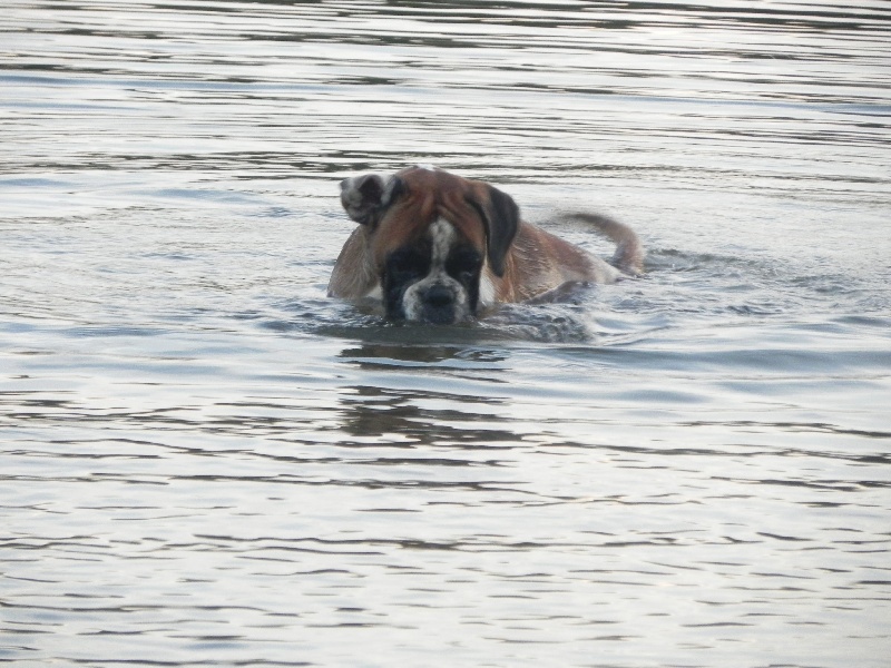 Flash Des Lacs Du Levezou