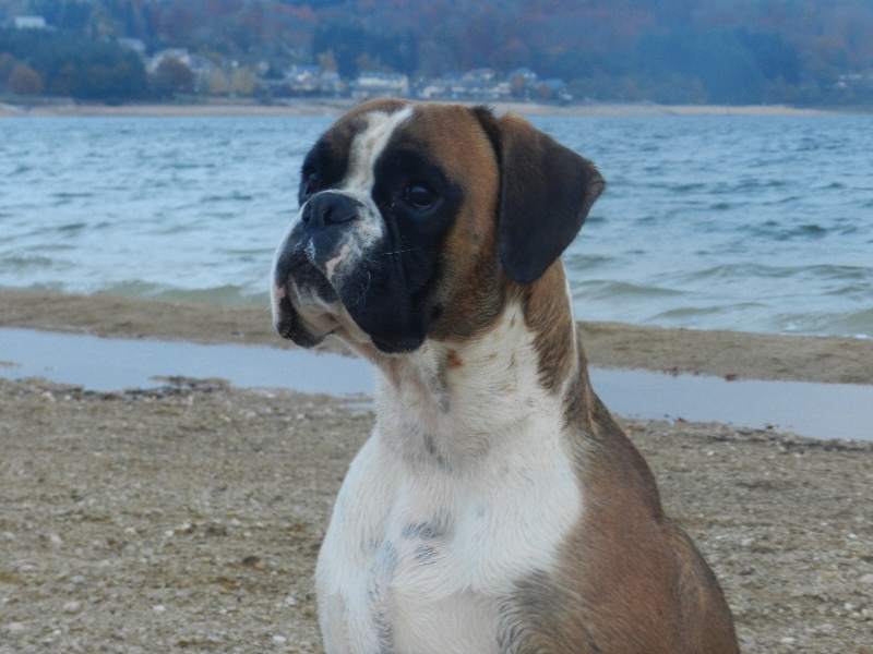 Flash Des Lacs Du Levezou