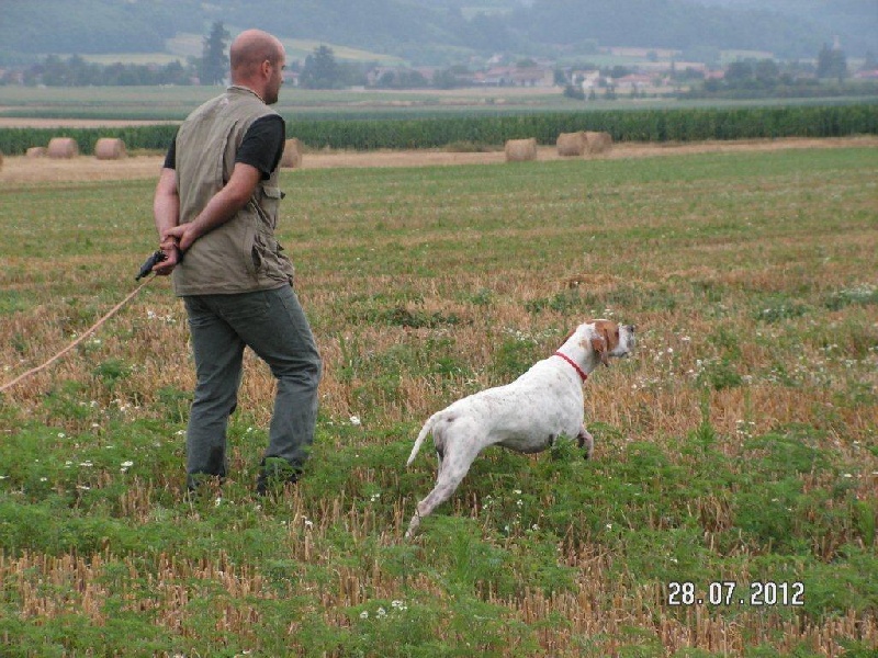 Gangsta Du Massif De La Trevaresse