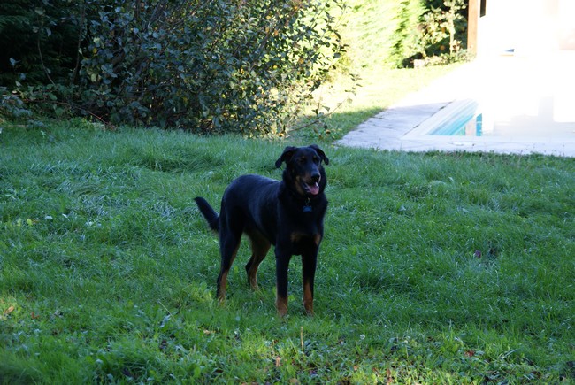 Gény Du Mont Farmer