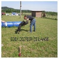 CH. Eden des Feux de l'Ange