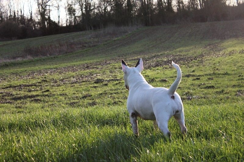 Inattendu princesse khalessi Of A'aron In Action