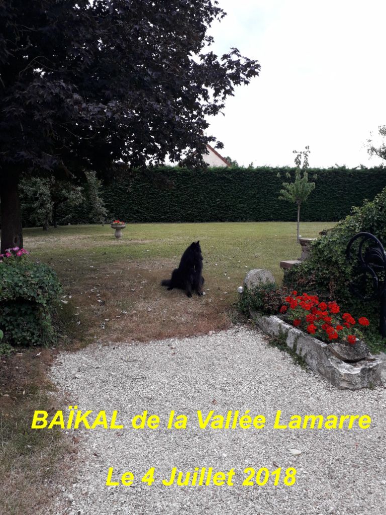 Baïkal de la Vallée Lamarre