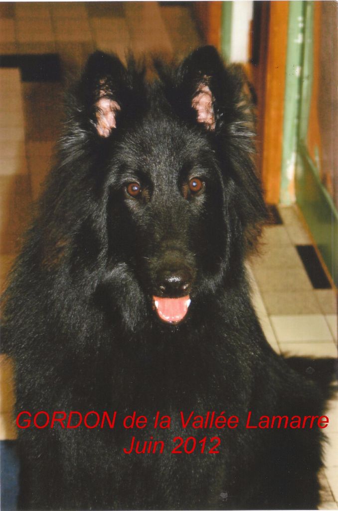 Gordon de la Vallée Lamarre