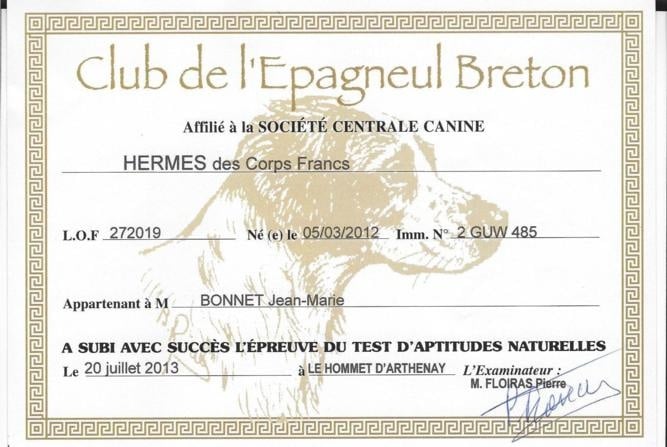 Hermes Des Corps Francs