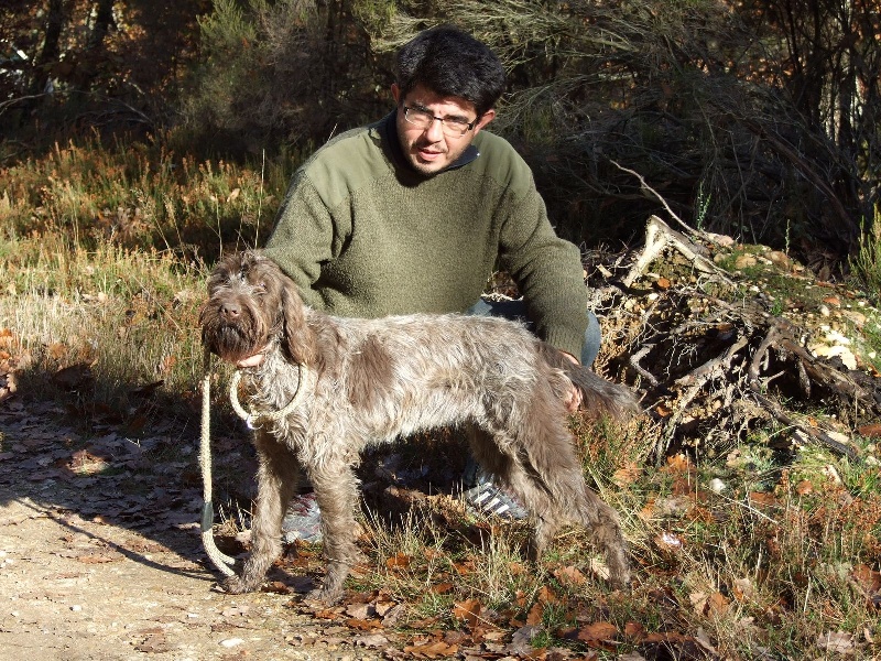 Fripouille Des bords du dan