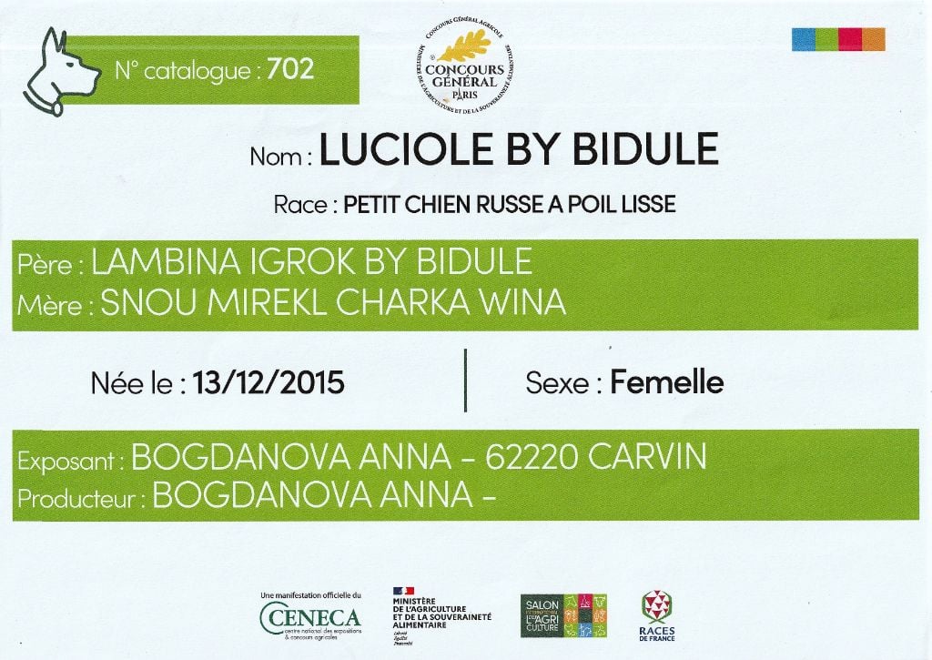 CH. Luciole By Bidule