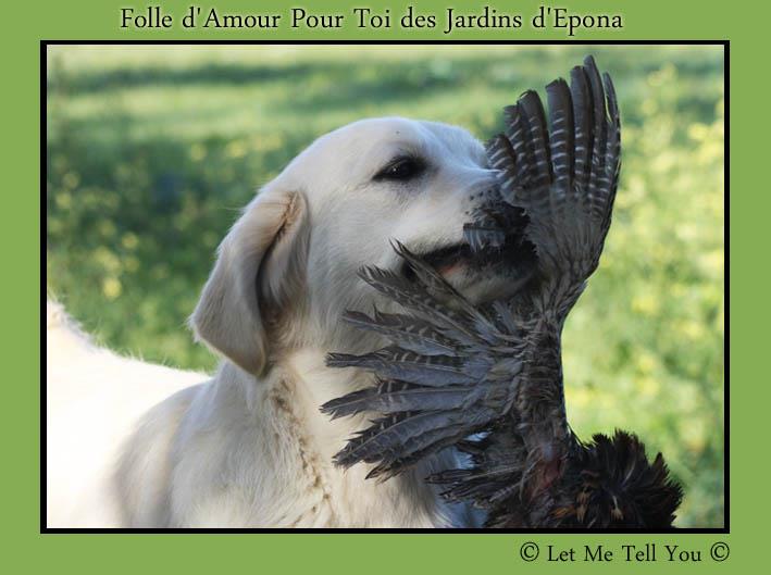 Folle d'amour pour toi des jardins d'Epona