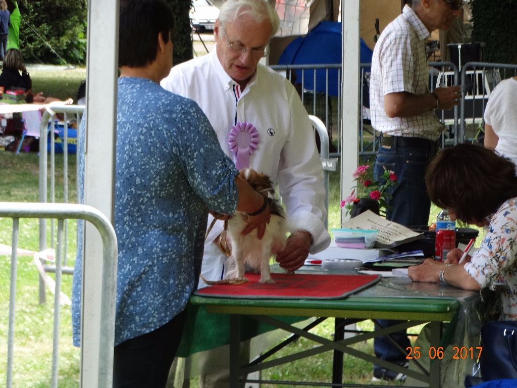 Lucky de la vallée de la Py