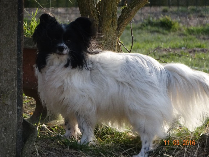 Eline dit lili de la Ferme De La Rodde