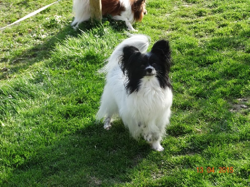 Eline dit lili de la Ferme De La Rodde