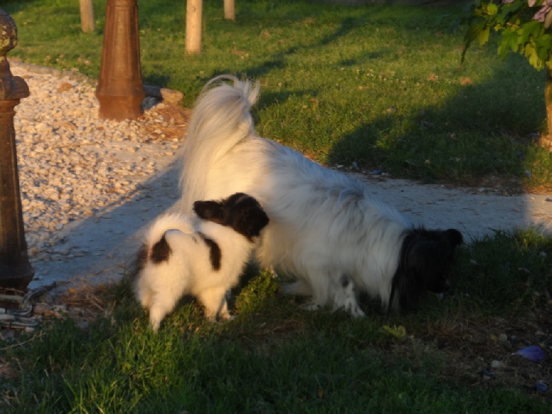 Eline dit lili de la Ferme De La Rodde