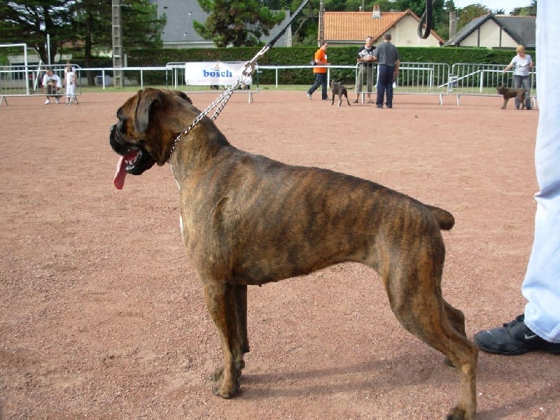 Alwenn de la cote des légendes celtes