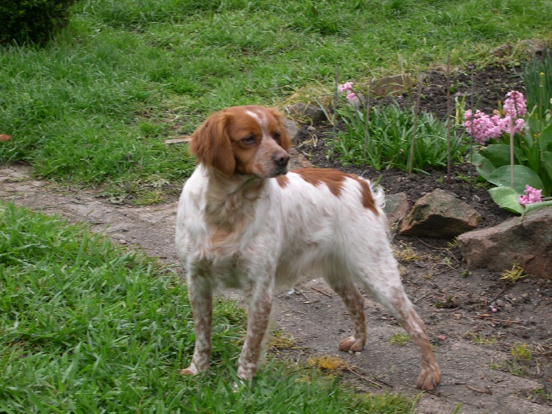 Carla Du Bois De Vert Pré