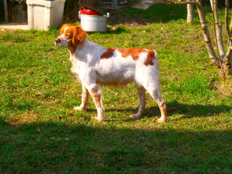 Carla Du Bois De Vert Pré