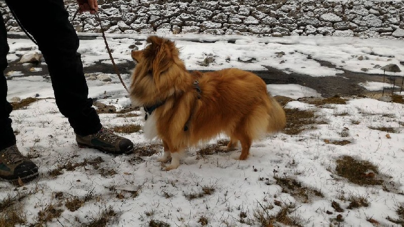 Miss winona Dame Vanoise Peint La Boheme