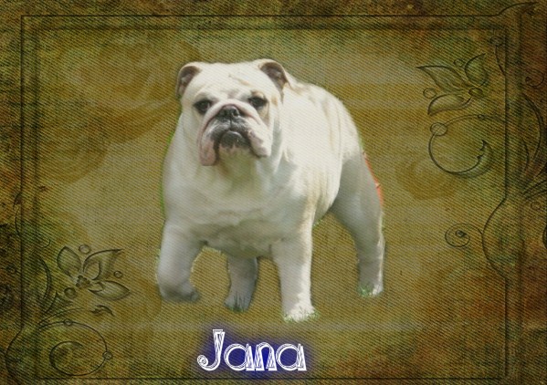 Jana (Sans Affixe)