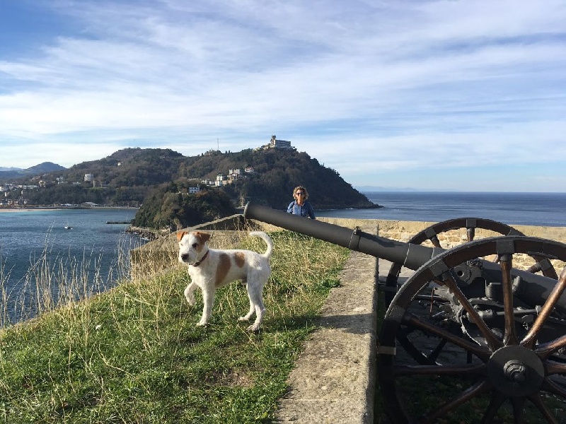 Merwyn dit taco Des Contes Du Vieux Chêne