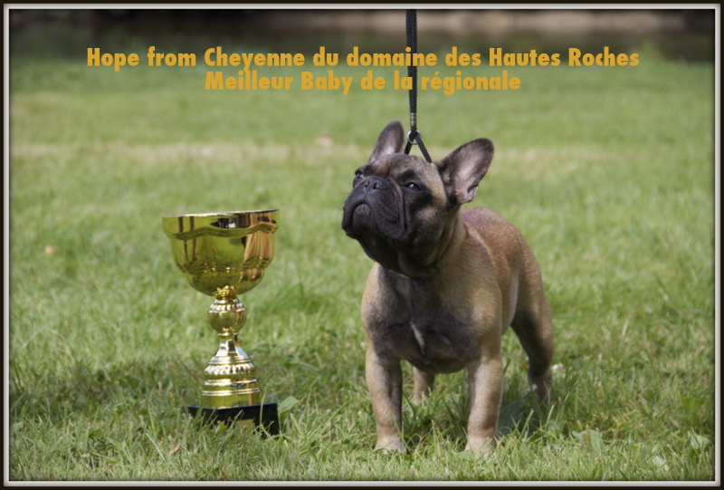 Hope from cheyenne Du Domaine Des Hautes Roches