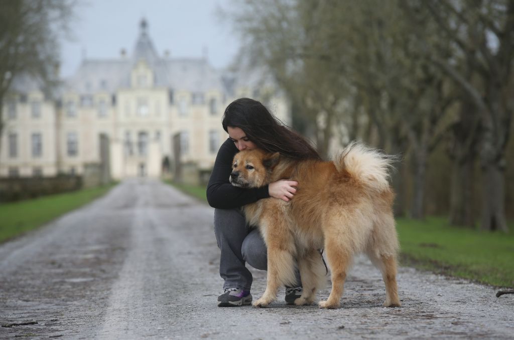 Marvel Du Royaume Des Etangs