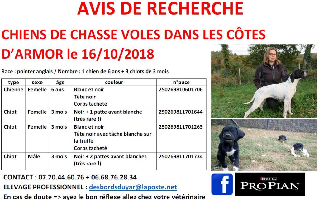 Accueil Elevage Des Bords Du Yar Eleveur De Chiens