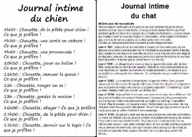 Accueil Elevage Ritterland Grif Et Passion Eleveur De Chiens Hovawart