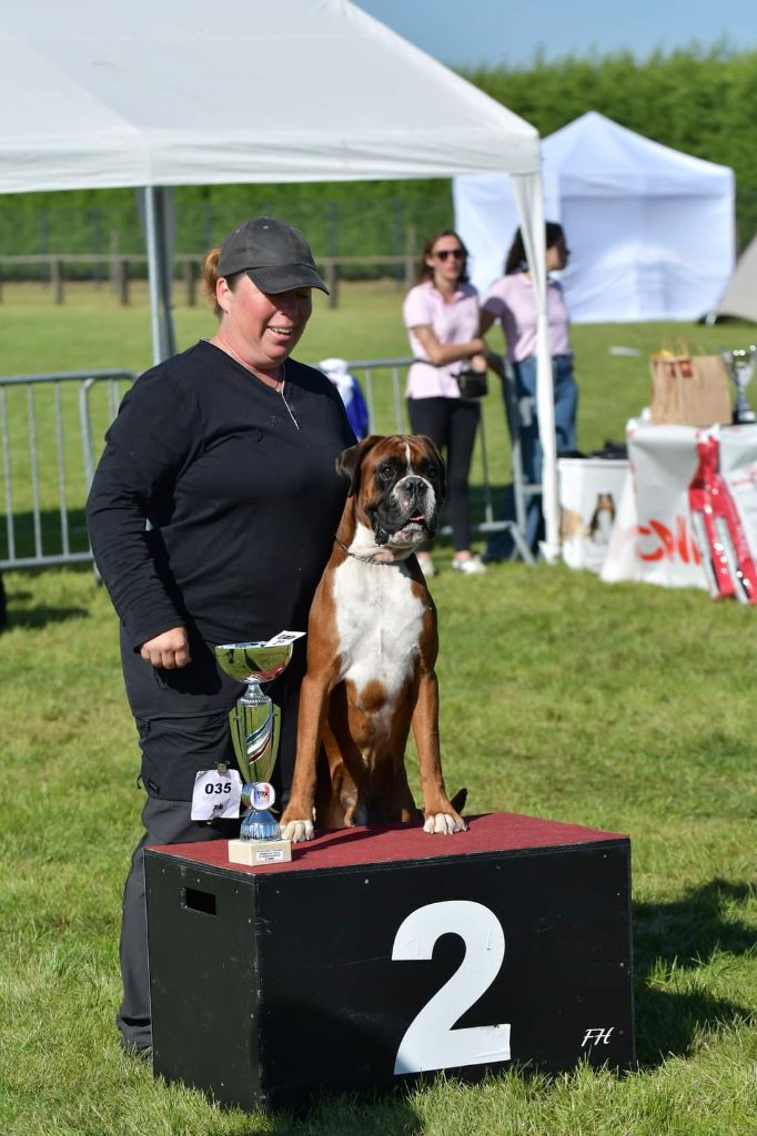 Rock'n'roll De La Colline Aux Crocs D'or