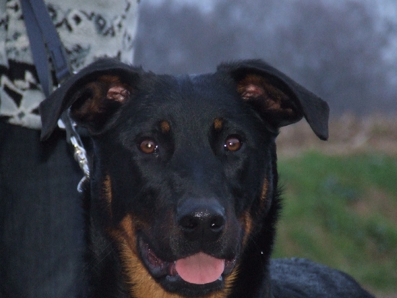 Cheyenne De La Terre Sacrée De Marius