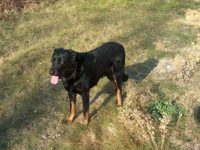 Valentino De La Terre Sacrée De Marius