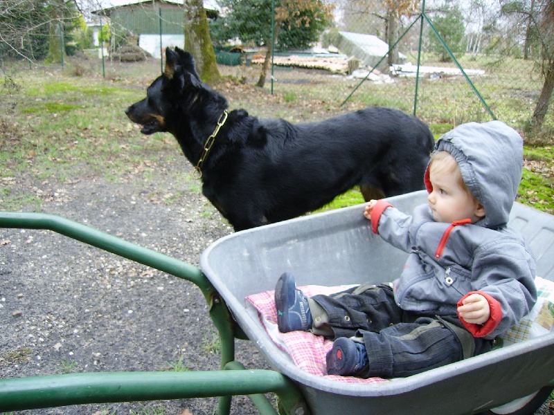 Ufa De La Terre Sacrée De Marius