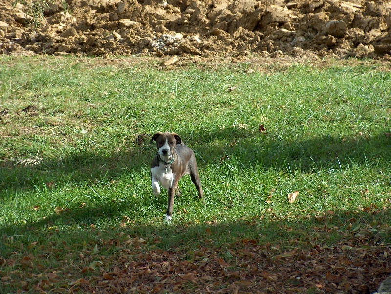 Valentino De La Terre Sacrée De Marius