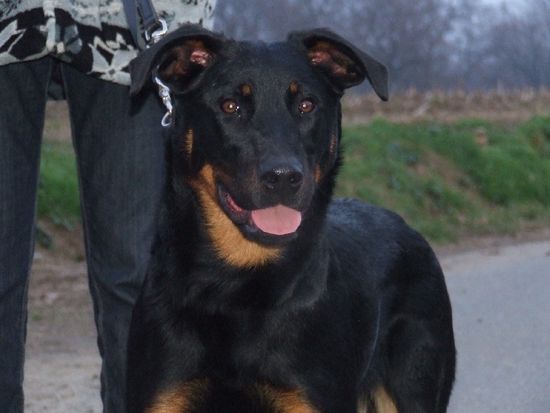 Cheyenne De La Terre Sacrée De Marius