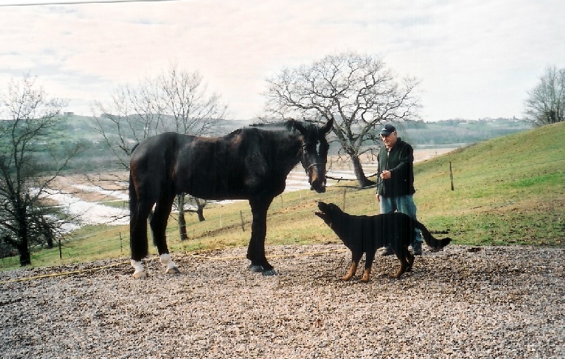 Cachou De La Terre Sacrée De Marius