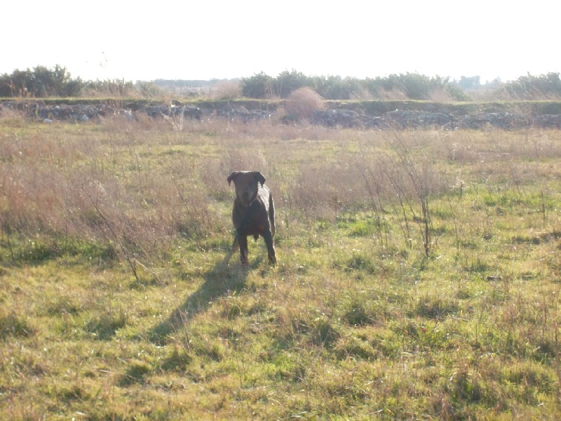 Gochen De La Terre Sacrée De Marius