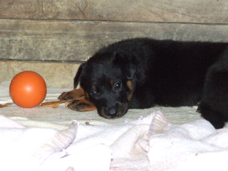 Emie De La Terre Sacrée De Marius