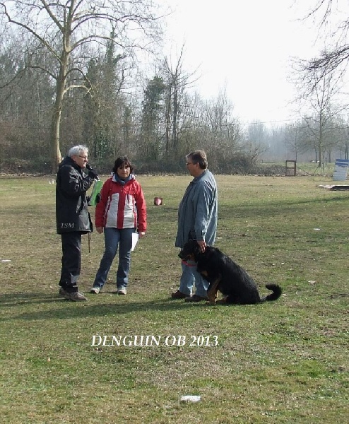 Feraud De La Terre Sacrée De Marius