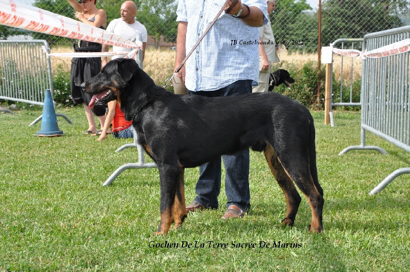 Gochen De La Terre Sacrée De Marius