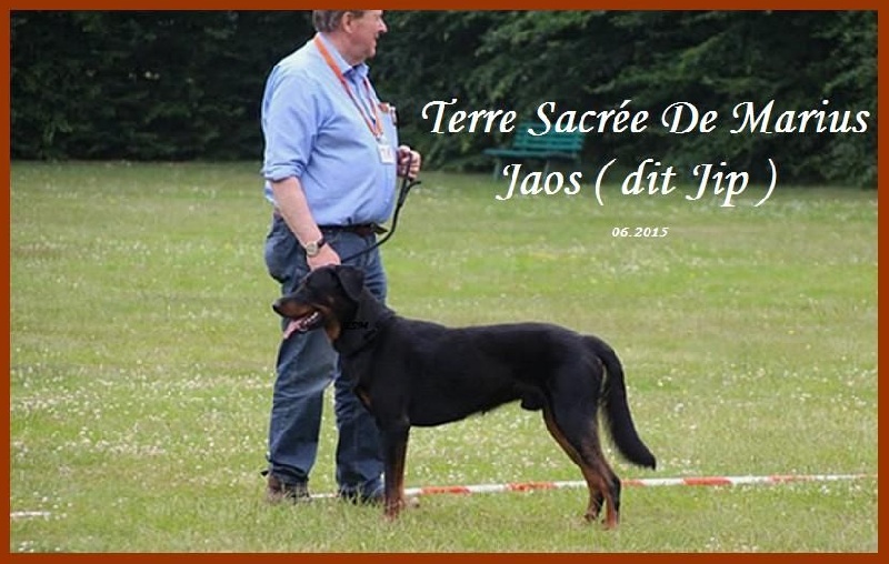 Jaos dit jip De La Terre Sacrée De Marius