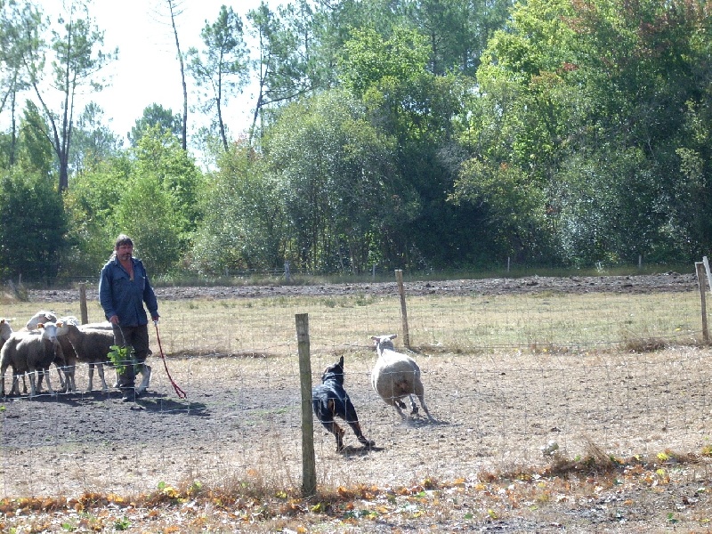 Feraud De La Terre Sacrée De Marius